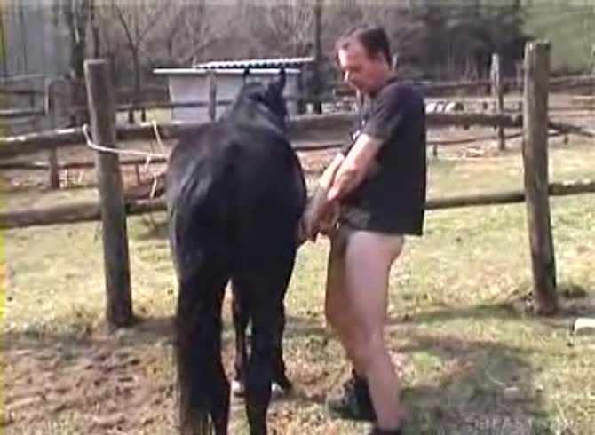 Video :Gay jacking off horse dick and his cock